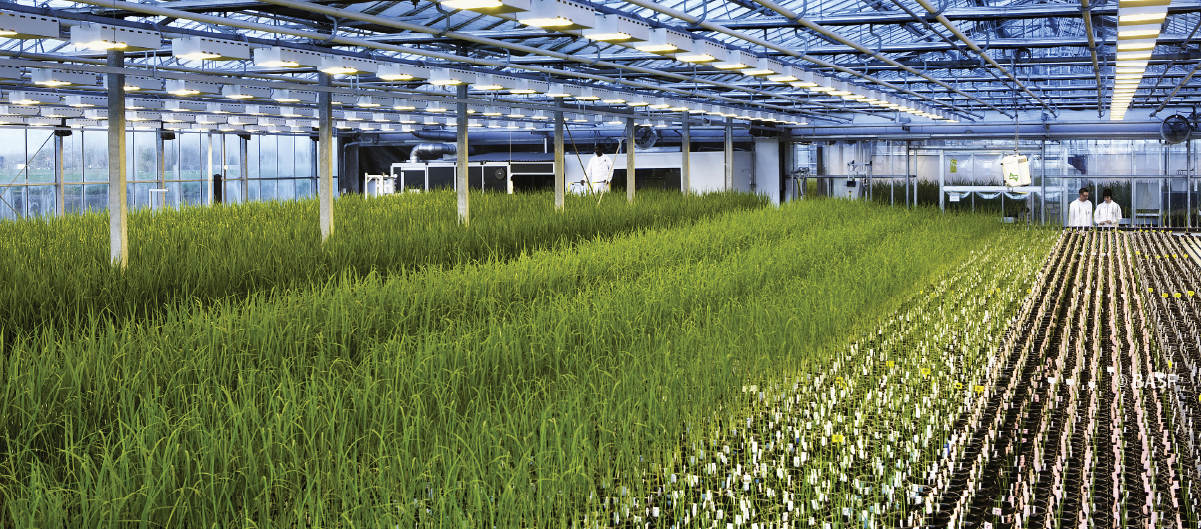 BASF Advances Sustainable Agriculture with Dotmatics R&D Workflows